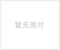 深圳丰顺科RVB两芯红黑电源线2*0.75